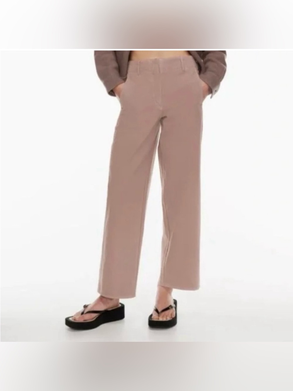ARITZIA Wilfred Free Ascendant Pant in Deep Taupe Size 2